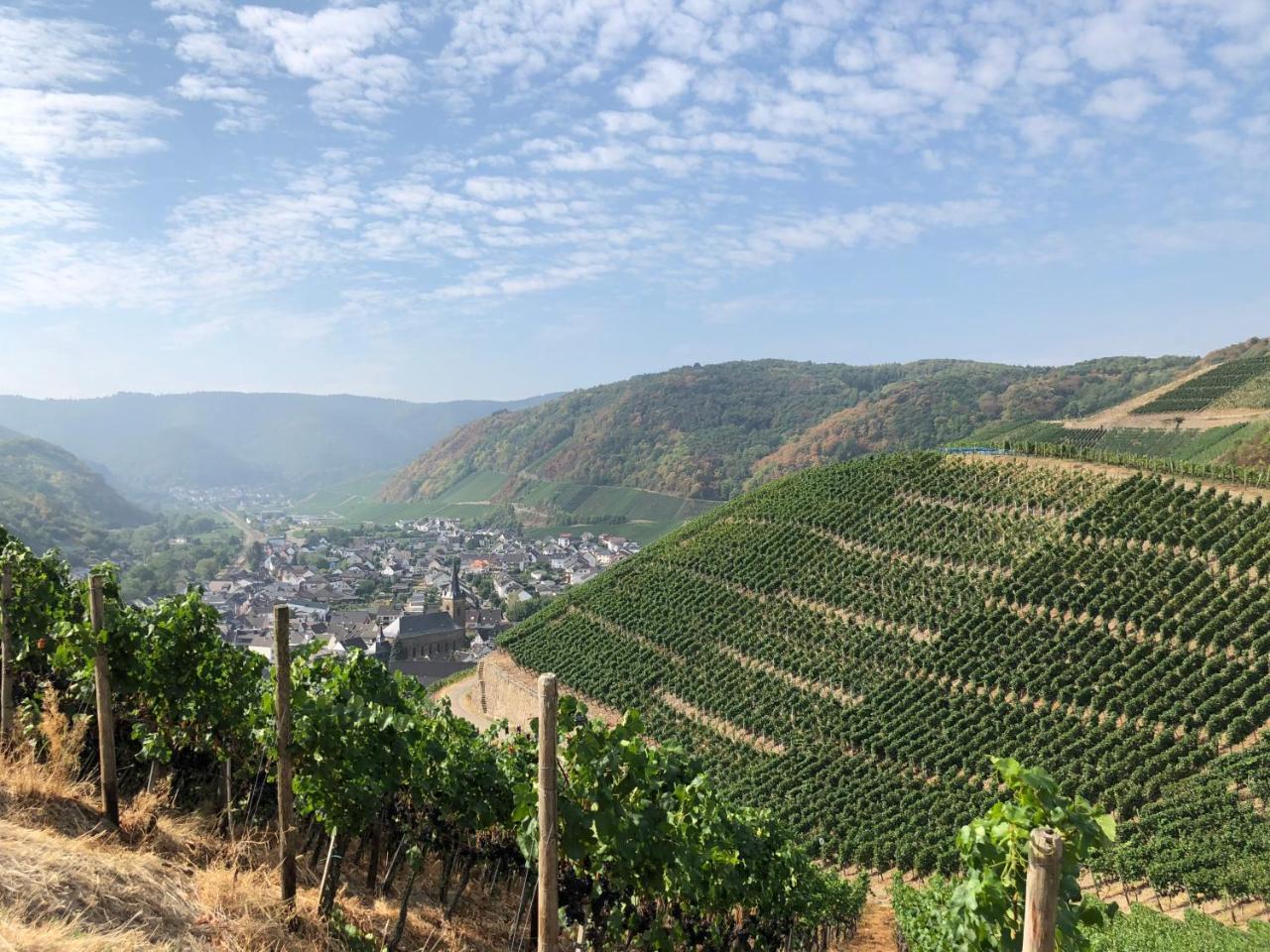 Hotel Ahrbella Bad Neuenahr-Ahrweiler Zewnętrze zdjęcie